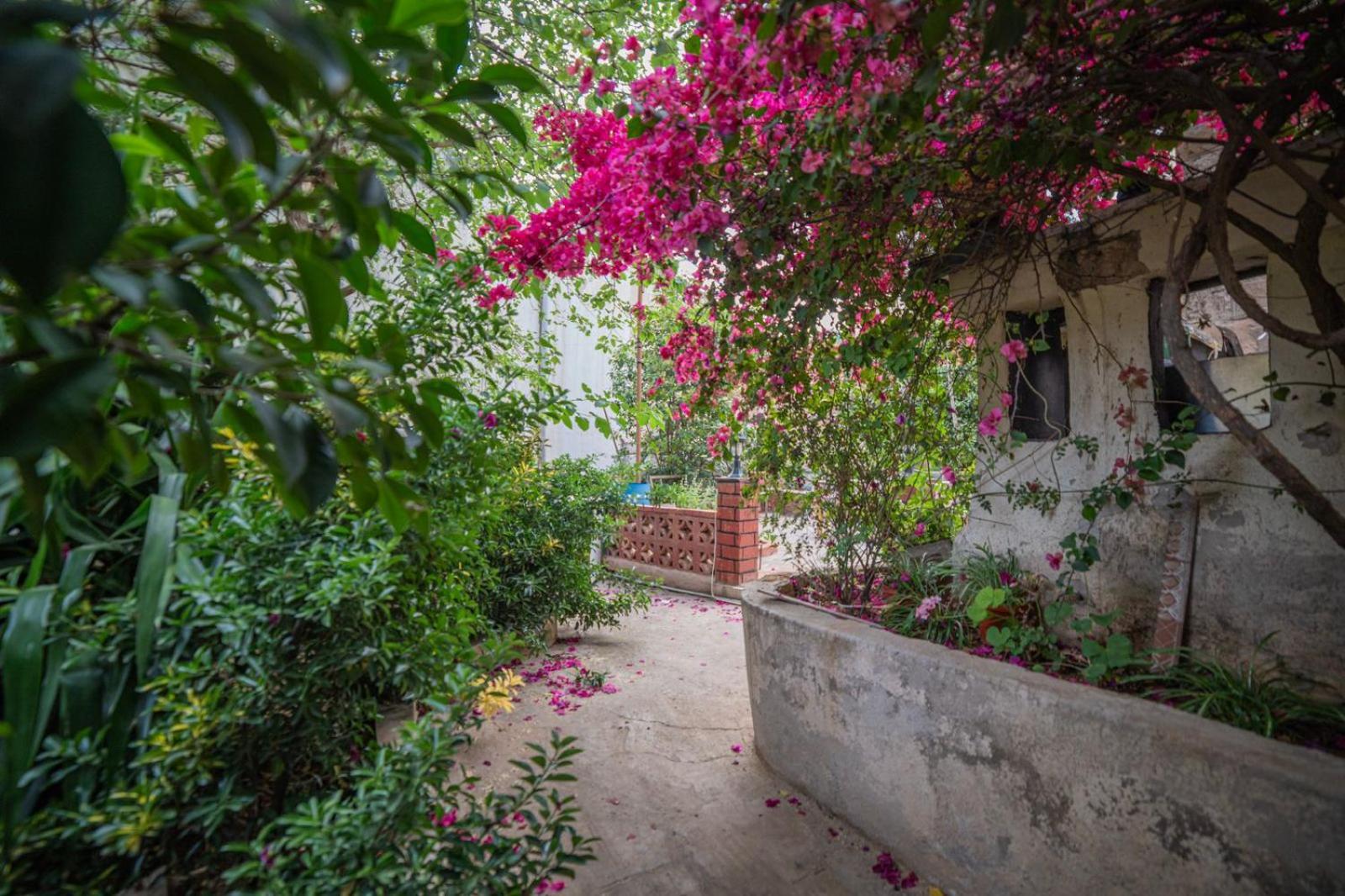 Central House With Beautiful Garden Amman Exterior photo